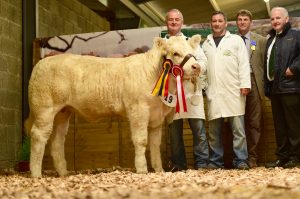 res-junior-female-calf-champion-cloughbrack-majestic-2-with-mattie-and-kevin-kelly-colin-wight-judge-and-kevin-maguire-president-iccs