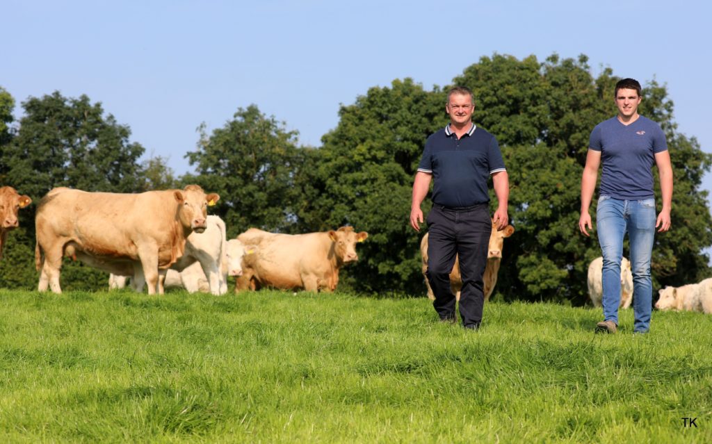 RAYMOND AND NIGEL SCALLY – SECOND PRIZE WINNER – ICCS SUCKLER HERDS COMPETITION 2021