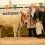 ‘PHENOMENAL’ QUALITY AT NATIONAL CALF SHOW