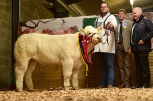 junior-female-calf-champion-cassina-maura-with-richard-poyntz-judge-colin-wight-and-kevin-maguire-president-iccs