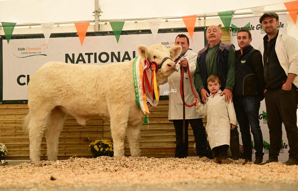 ‘PHENOMENAL’ QUALITY AT NATIONAL CALF SHOW