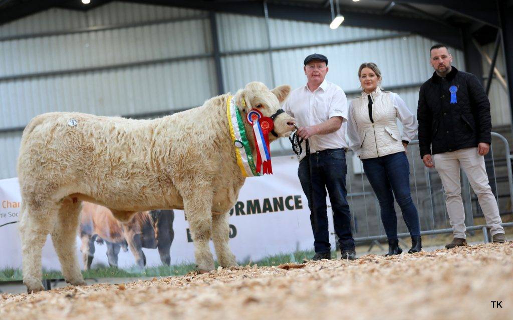 LISNAGRE LEADS THE WAY AT €18,000