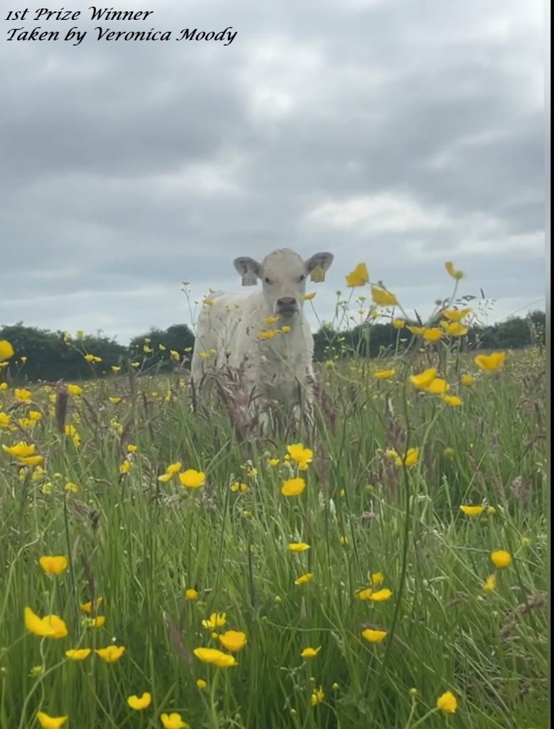 WINNERS OF OUR PHOTO COMPETITION 2025