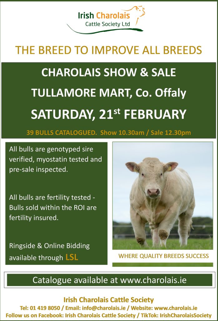 NEXT SHOW/SALE – TULLAMORE MART 21st FEBRUARY