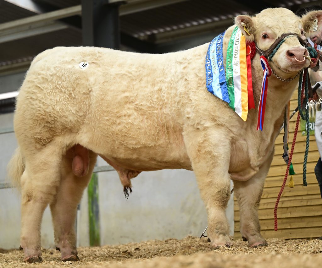 Tullamore November Sale 2026