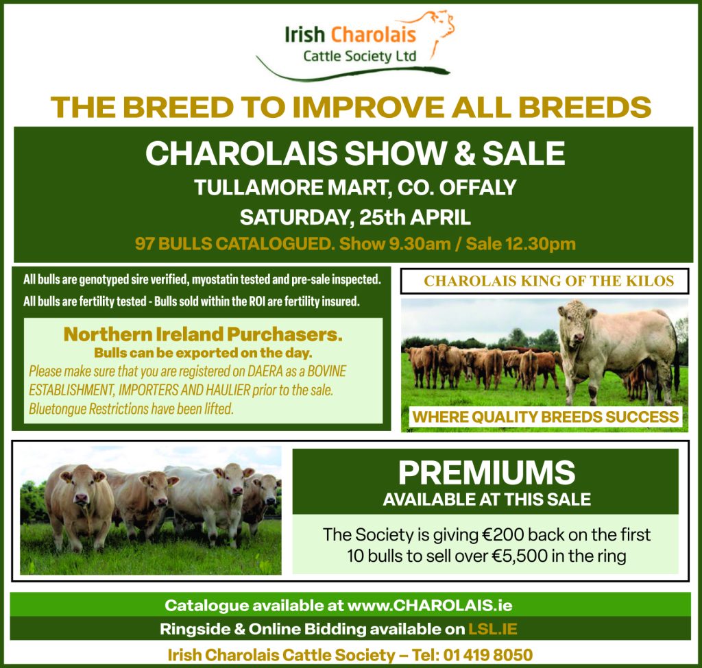 REMINDER THAT OUR NEXT SALE IS THIS SATURDAY IN TULLAMORE MART