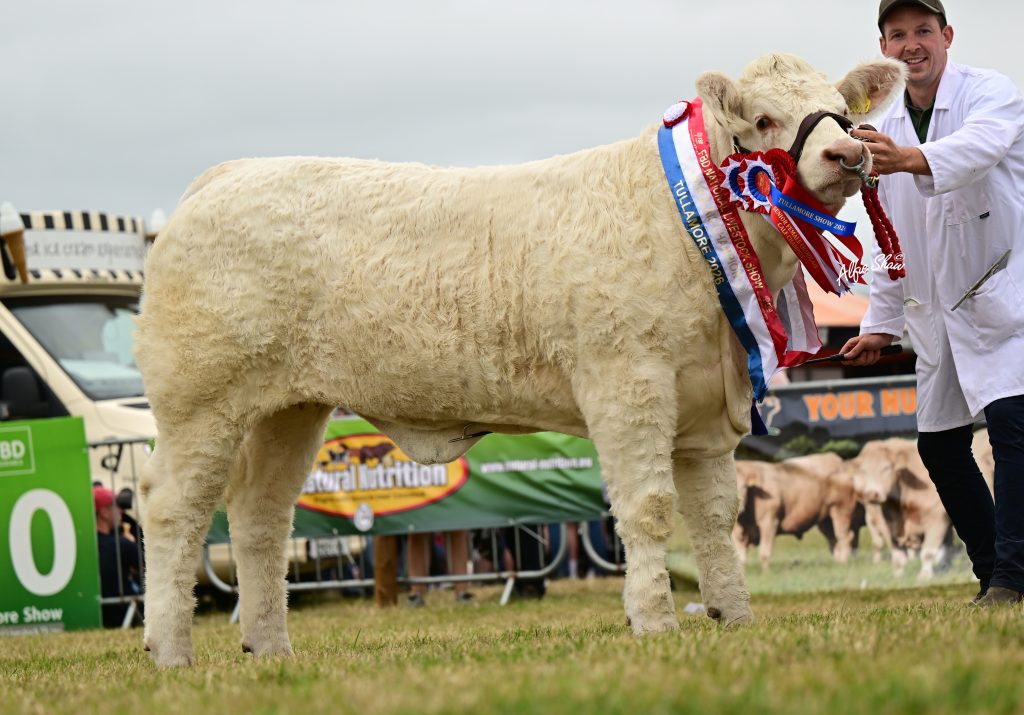 Elite Heifer and Calf Show Sale Catalogue