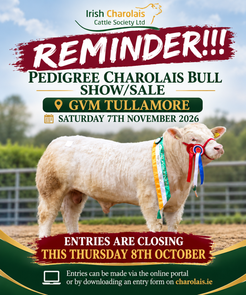 REMINDER! Entries Close THIS THURSDAY 8th of OCTOBER for Our Pedigree Charolais Show and Sale in GVM Tullamore on the 7th of November